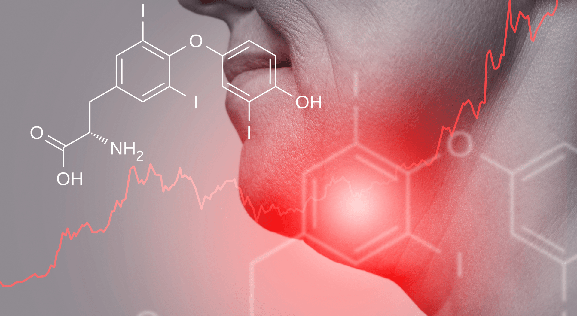 chamli media lab, llc riverside hero image